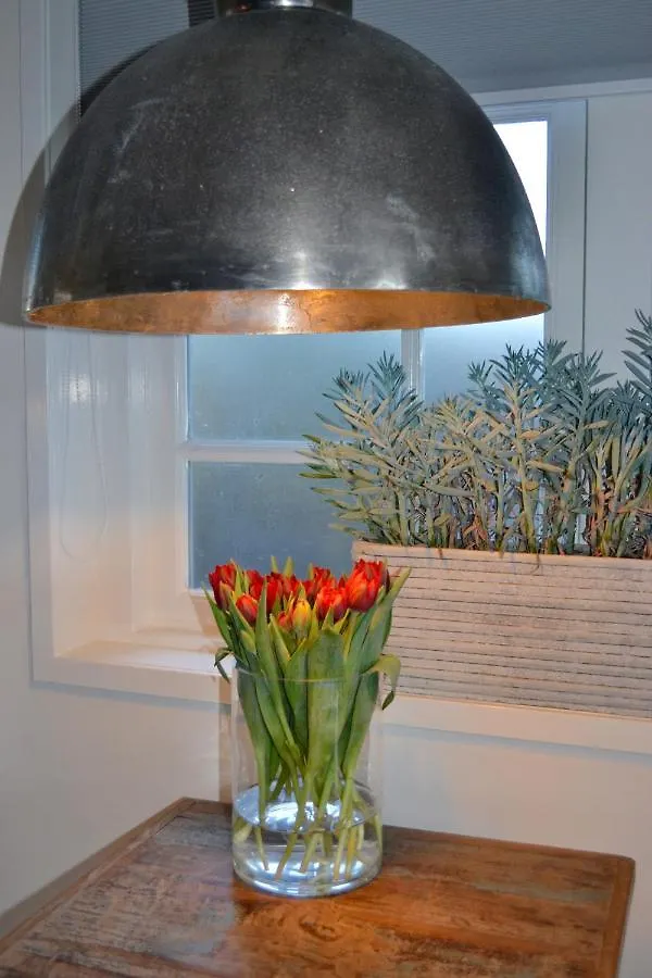 Studio/Appartment Evi Zandvoort 0*,